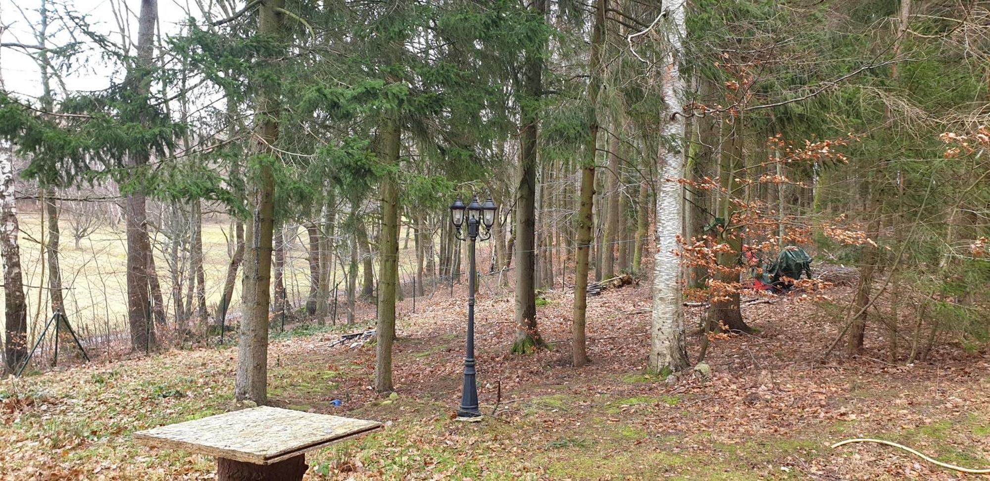 Villa Waldhaus Hempe Tabarz/Thüringer Wald Exterior foto