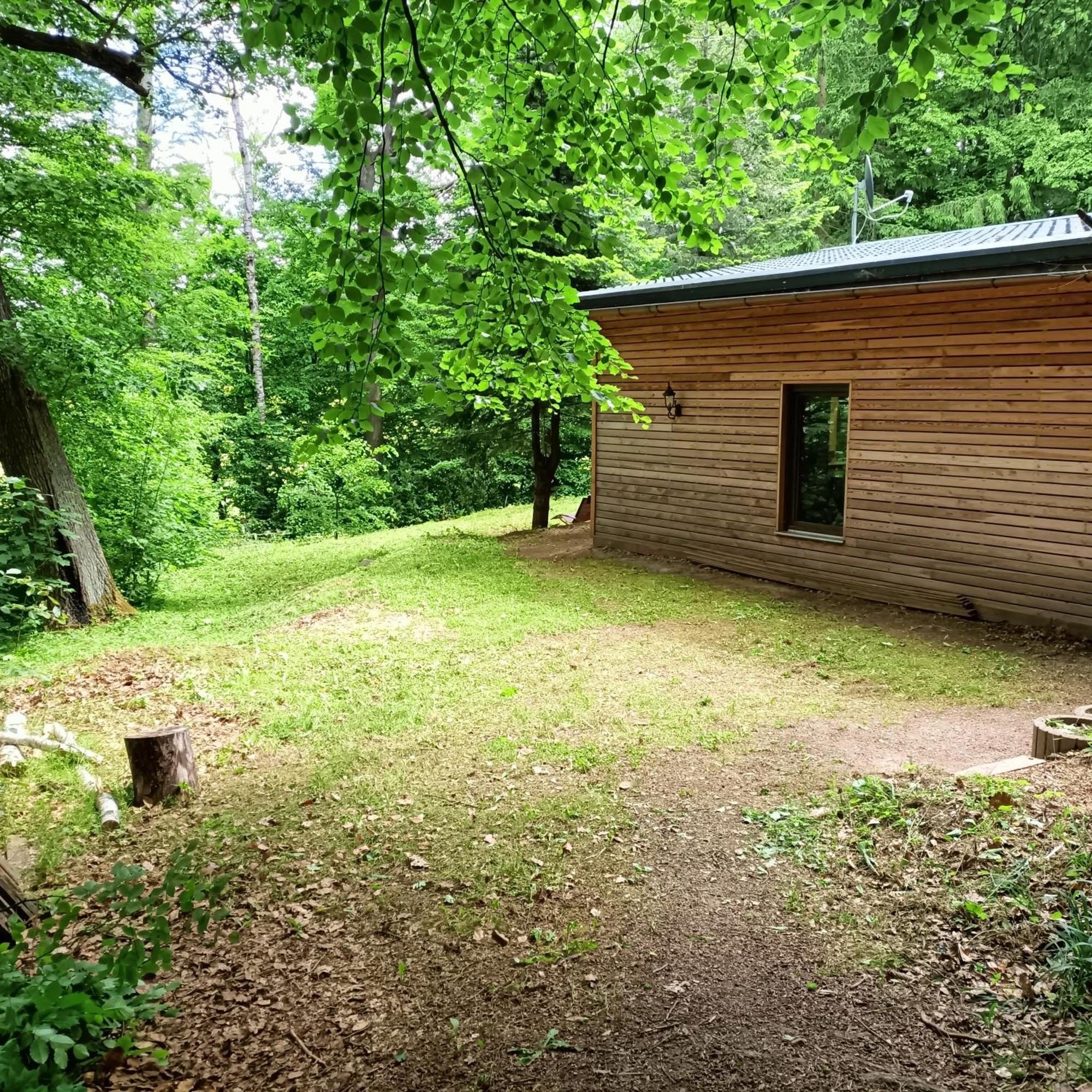 Villa Waldhaus Hempe Tabarz/Thüringer Wald Exterior foto